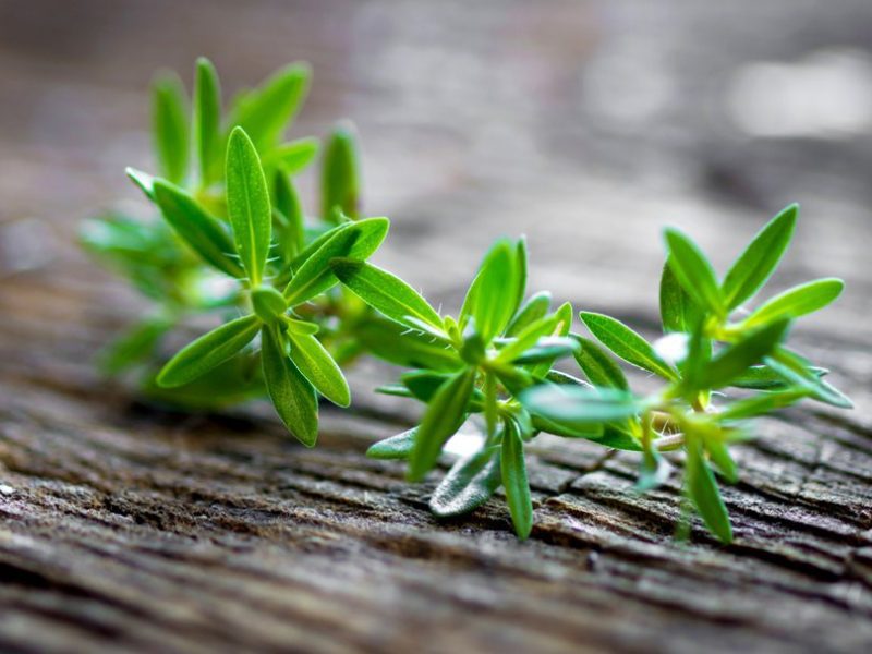 Tradycyjne potrawy z wykorzystaniem cząbru