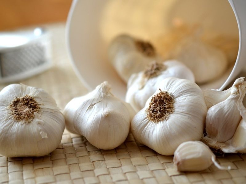 Naturalne antybiotyki: jak działają czosnek, imbir i oregano