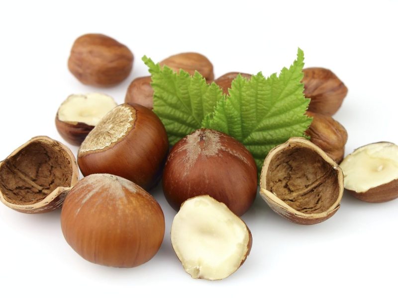 Zastosowanie orzechów laskowych w kuchni