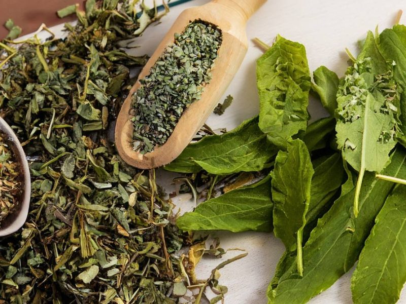 Zioła świeże czy suszone?