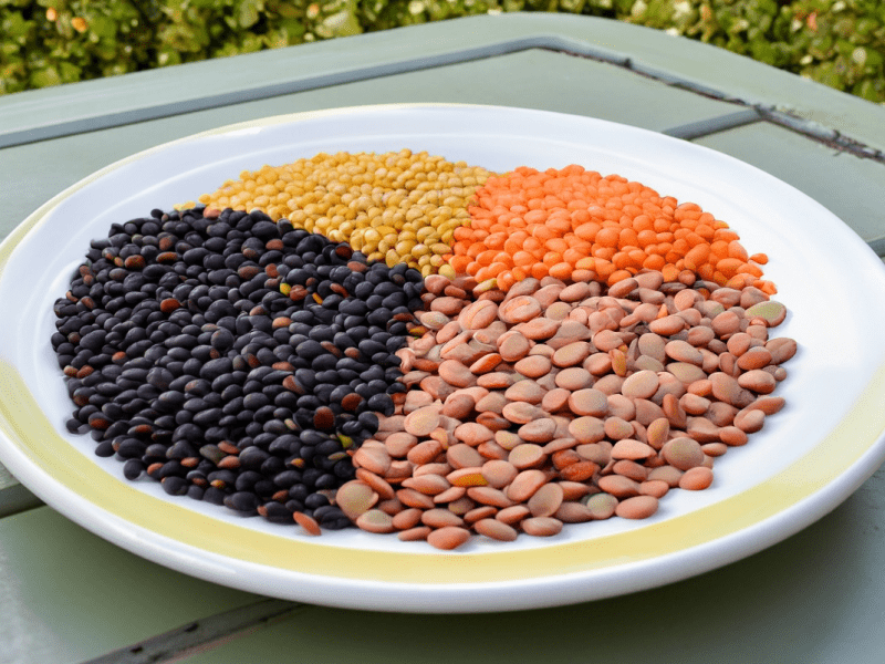 Soczewica jako źródło błonnika i korzyści dla układu pokarmowego